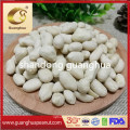 New Crop Healthy Long Round Shape Good Color Peanut Kernels